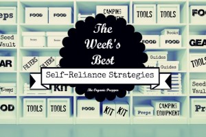 Feb 25 Self Reliance Strategies