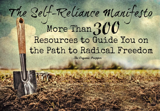 The Self Reliance Manifesto