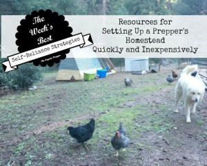 Resources for Setting Up a Prepper's Homestead Quickly and Inexpensively