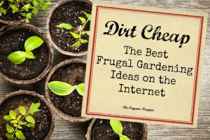 The Best Frugal Gardening Ideas on the Internet